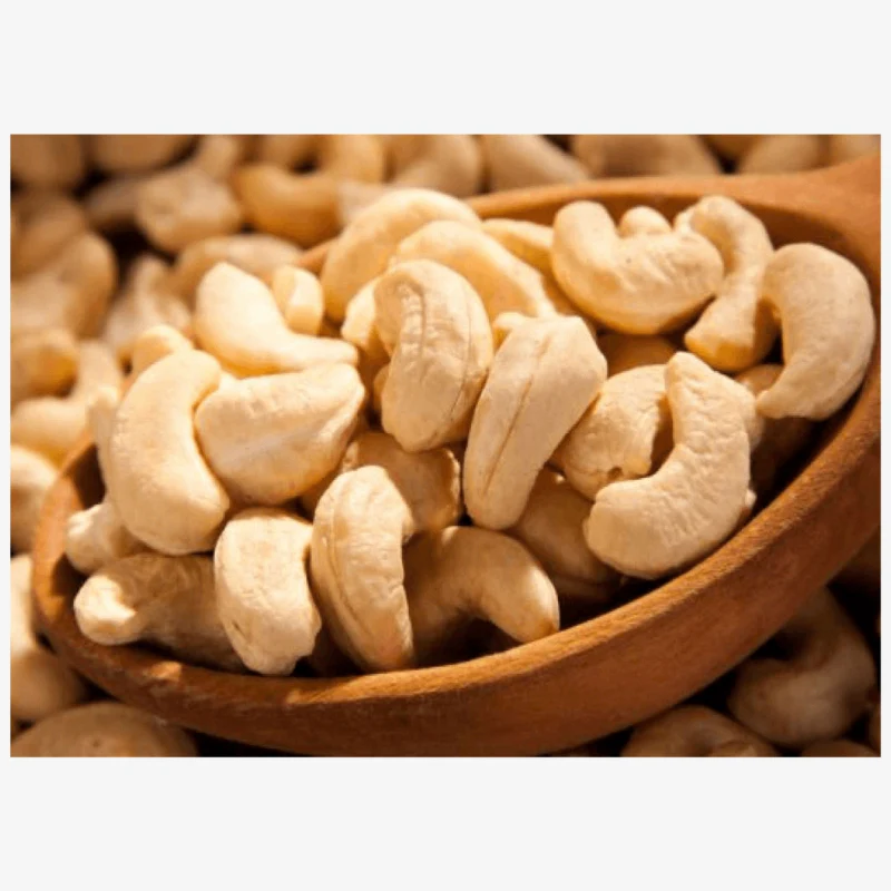 Cashew Industry